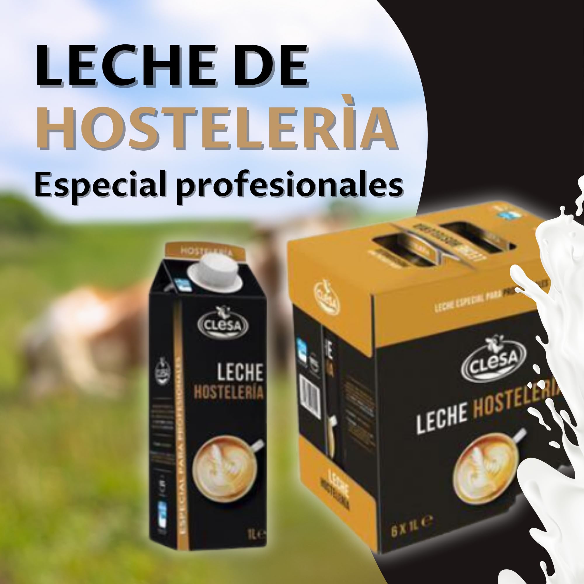 Clesa Leche Semidesnatada Especial Hostelería 6 x 1 L - Tapón Antigoteo