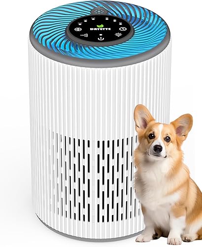 Dayette Purificadores de aire de 3000 pies cuadrados para habitación grande del hogar, filtro Hepa H13 Ture para alergias, mascotas, moho de caspa,