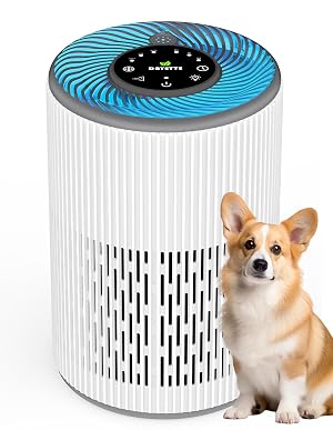 DAYETTE Air Purifier for Home Large Room up to 1300 sq ft H13 Air Purifiers for Bedroom Pets