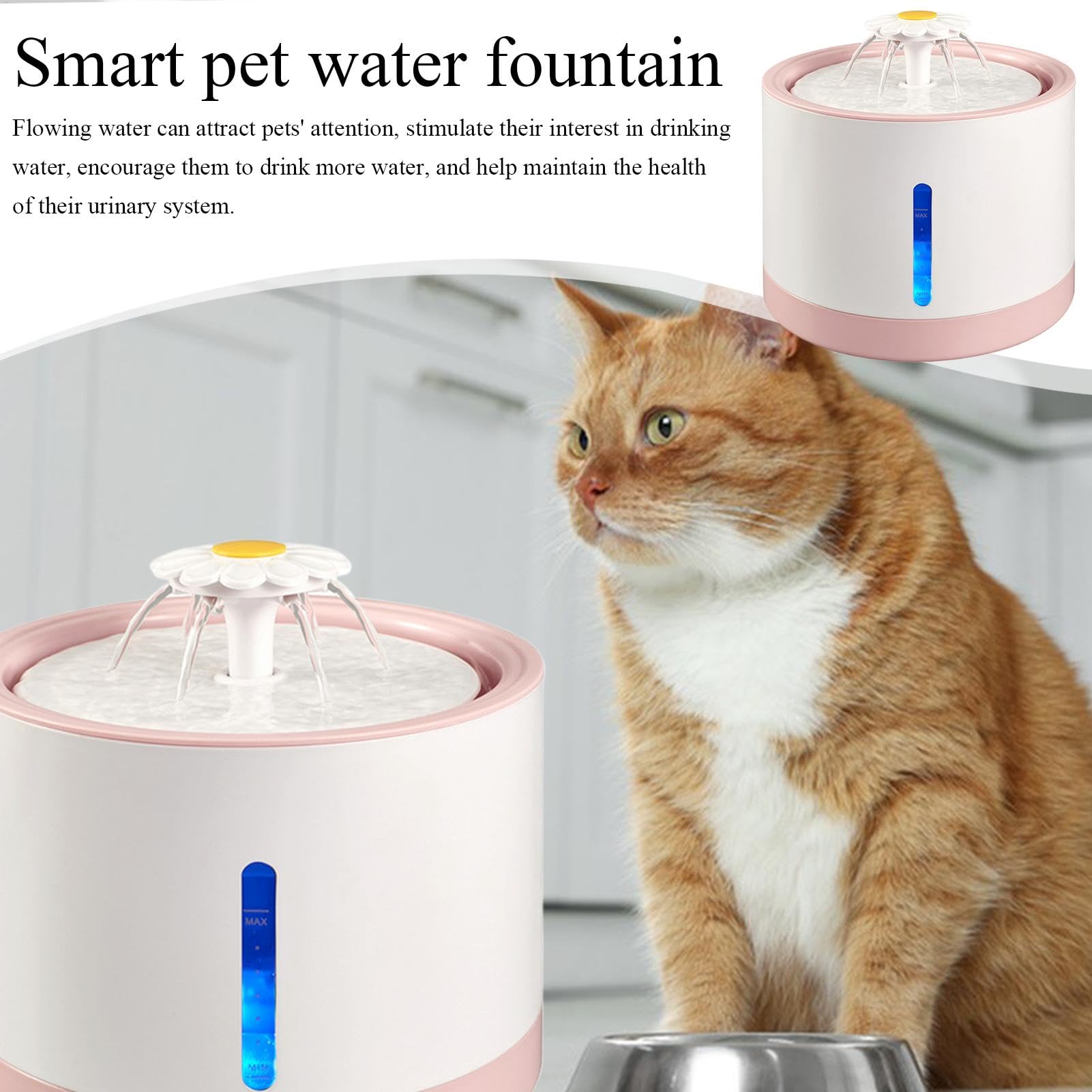 Dispensador de Agua para Perros Recargable