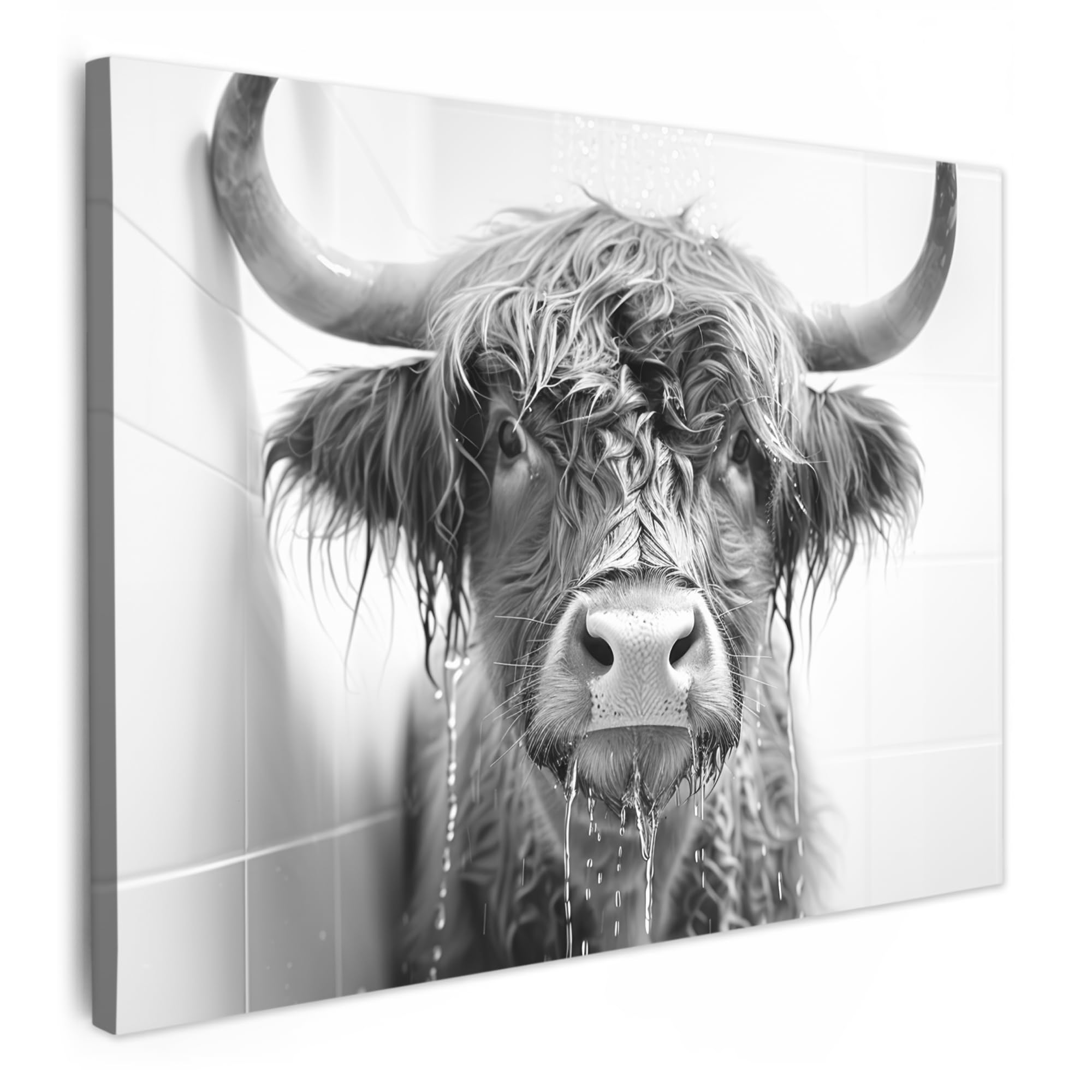 MuchoWow© Canvas Wall Art 40x30 cm Decor Prints for Living Room Decorative Canvases Hall Artwork Scottish Highlander - Shower - Cow - Black and white - Humour