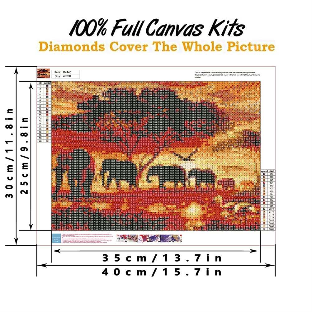 Diamant Schilderij Kits met Gereedschap, Meecaa Olifant DIY 5D Volledige Boor Kruissteek Diamant Mozaïek Kunst Ambachten 30x40cm (Olifant