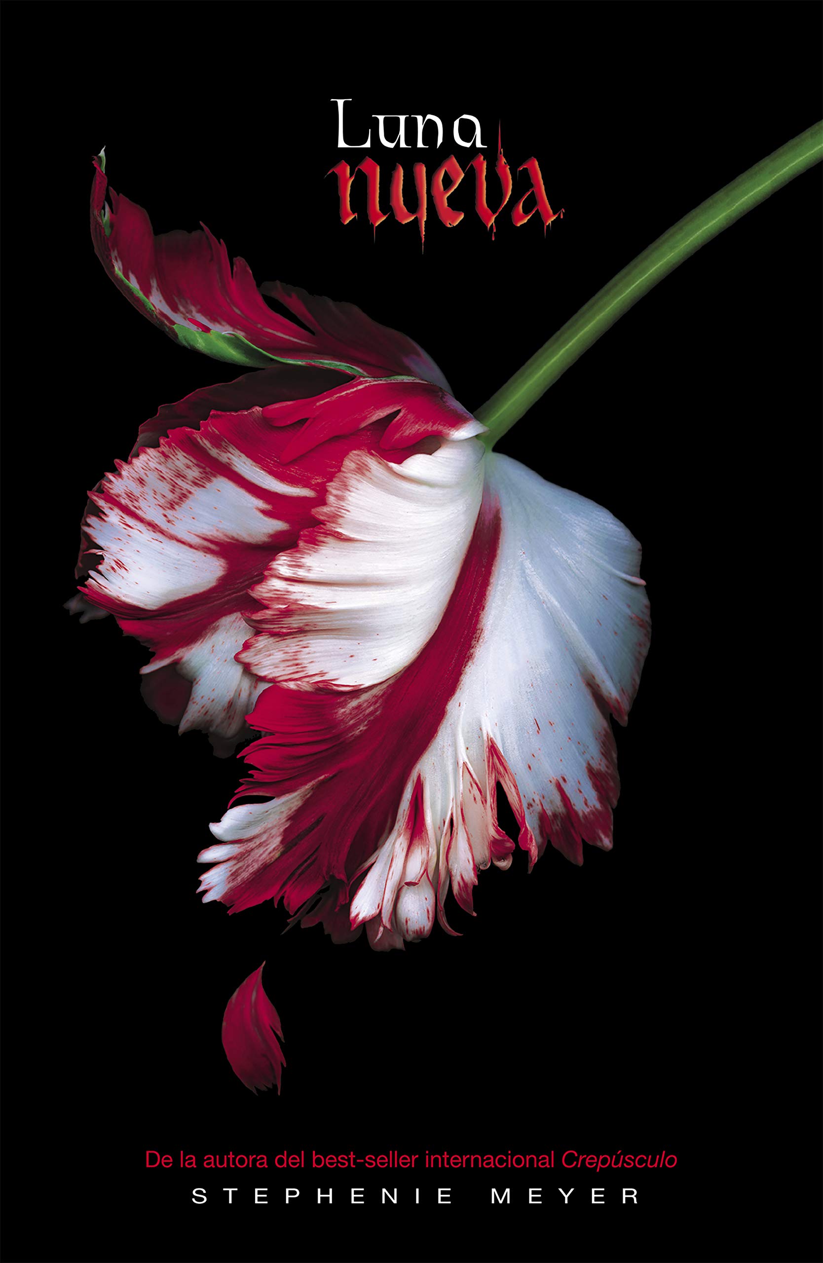Luna nueva (Saga Crepúsculo 2) (Spanish Edition)