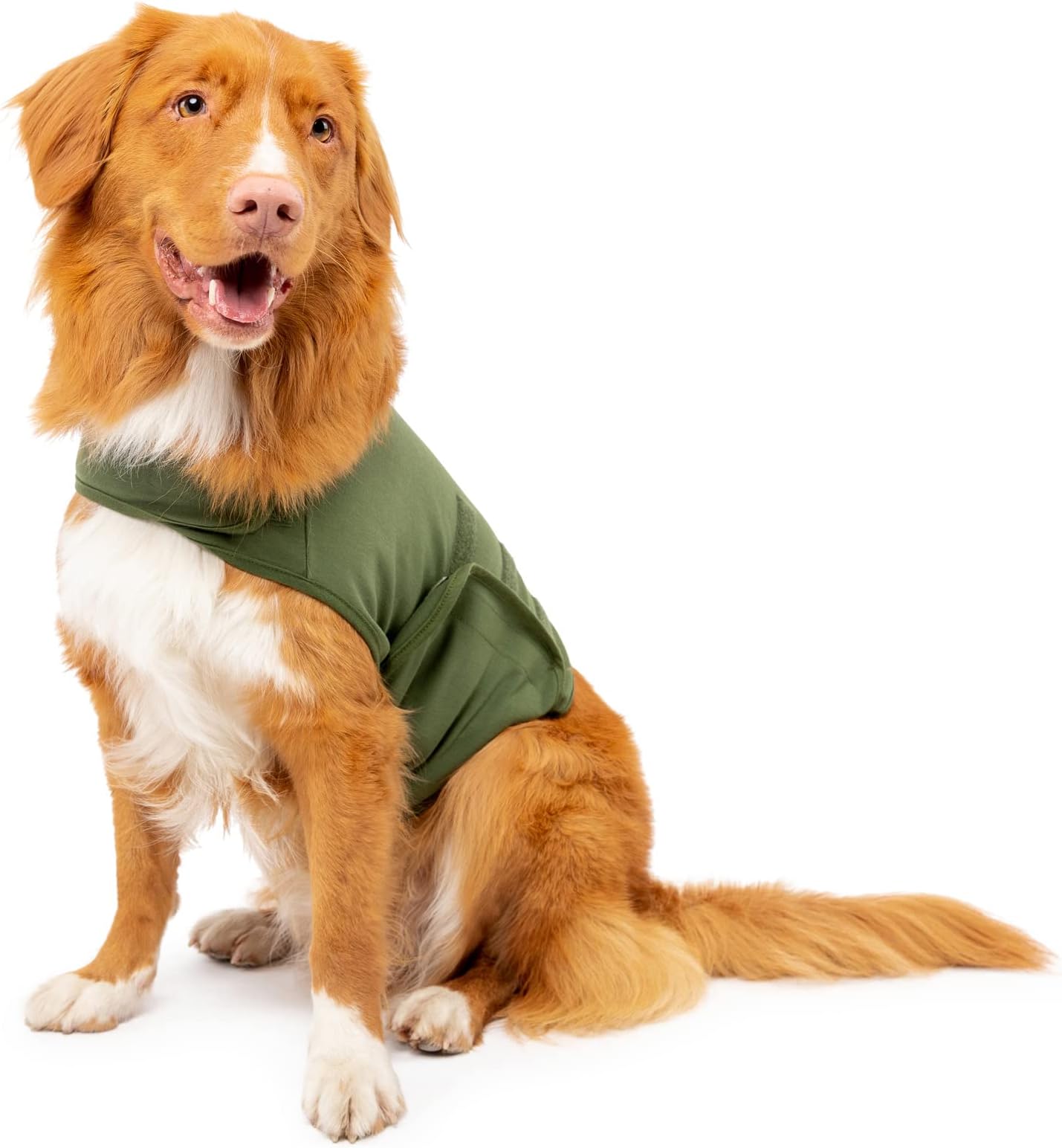 Dog Anxiety Calming Wrap, Medium, Cypress