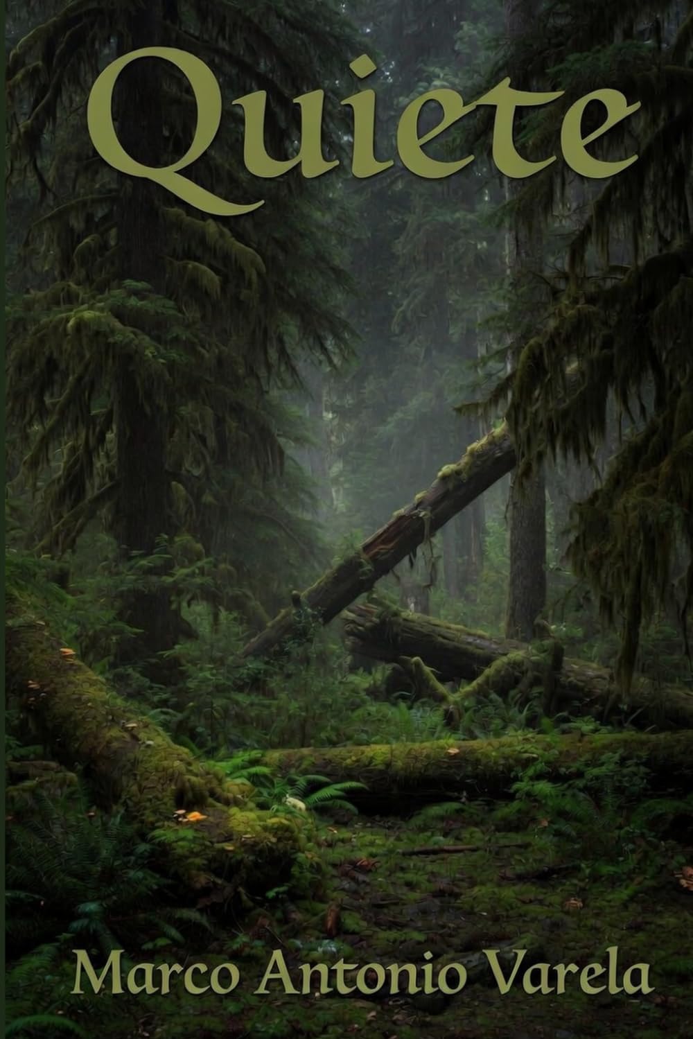 Quiete: A Novel of the Olympic Wilderness