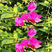 Vista 3 de SIOTI Kit de filtro cuadrado de 4 x 6 pulgadas (3.937 x 5.906 in) con ND2 y ND4 y ND8 y ND16 para Cokin Z Lee Hitech SIOTI Holder (ND)