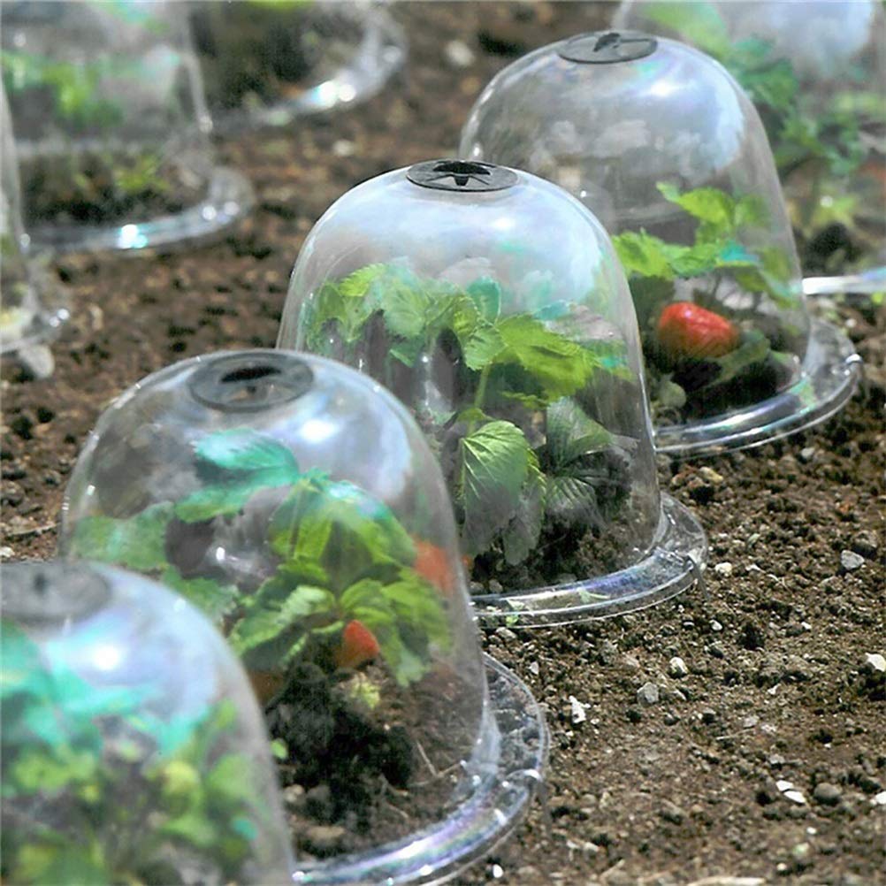 Lot de 6 dômes de protection réutilisables en forme de cloche en plastique pour le froid et le réchauffement du sol de jardin et des plantes en croissance, transparent
