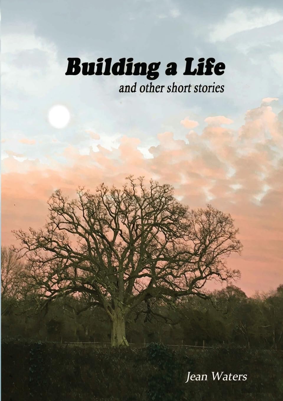 Building a Life: and other short stories