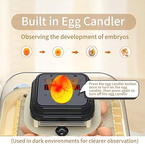 Miniatura 5 de Incubadoras para incubar huevos, incubadora de 35 huevos con giro automático de huevos y control de humedad, incubadora con vela de huevo para