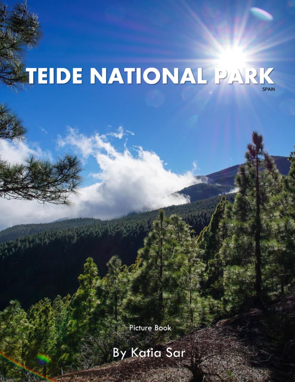 Teide National Park: A Perfect Coffee Table Picture Book - Travel and Nature lovers.
