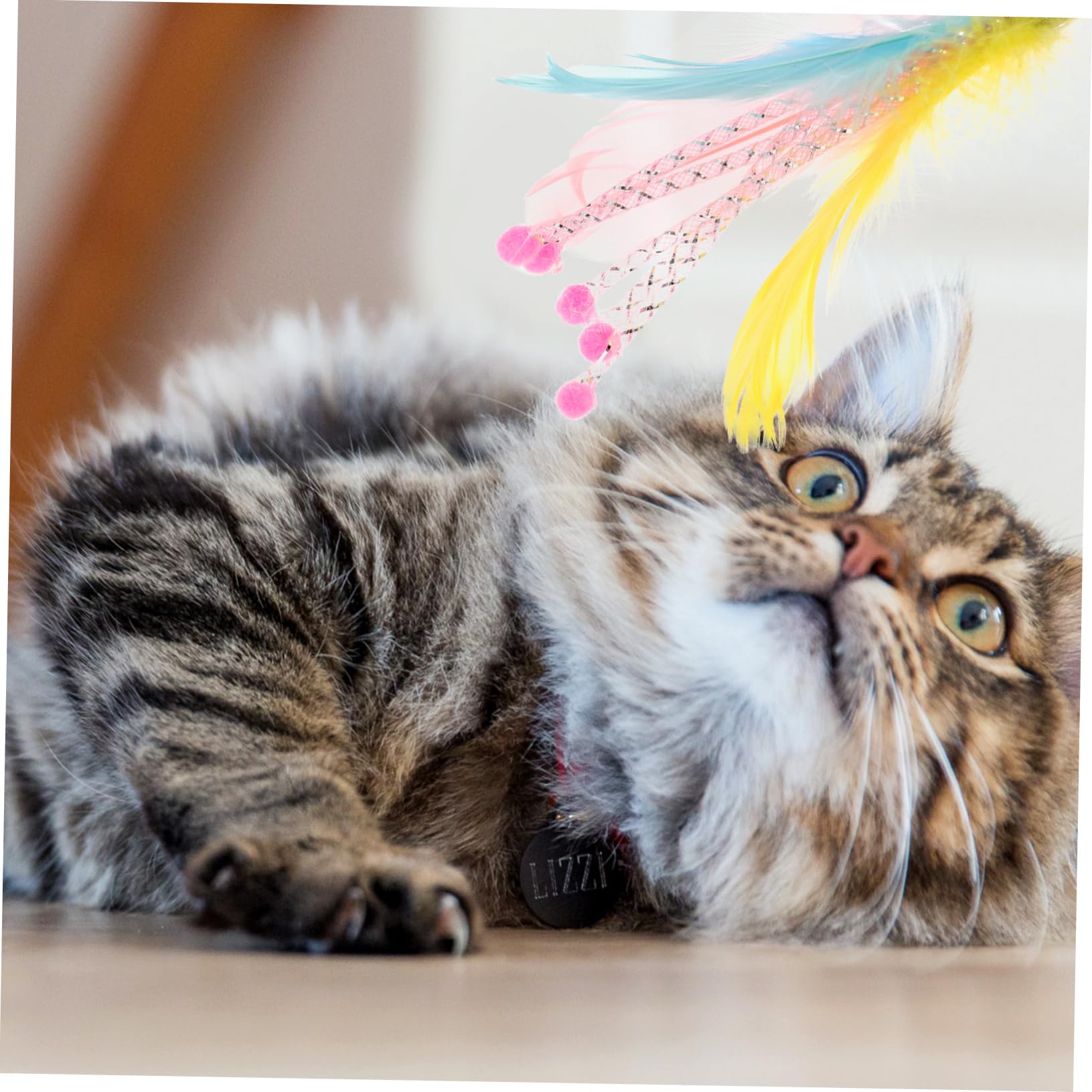 Kisangel 24pièces Jouets à Canne Multifonction pour Chats Remplacements De Plumes Interactives pour Jouets à Filer Teaser