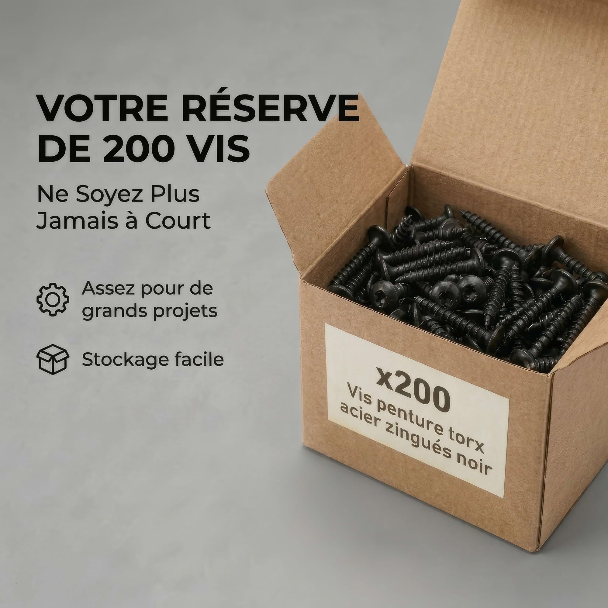 200 vis penture torx acier zingués noir - diamètre de 6 mm - Longueur 50 mm mm - Diamètre 6 mm