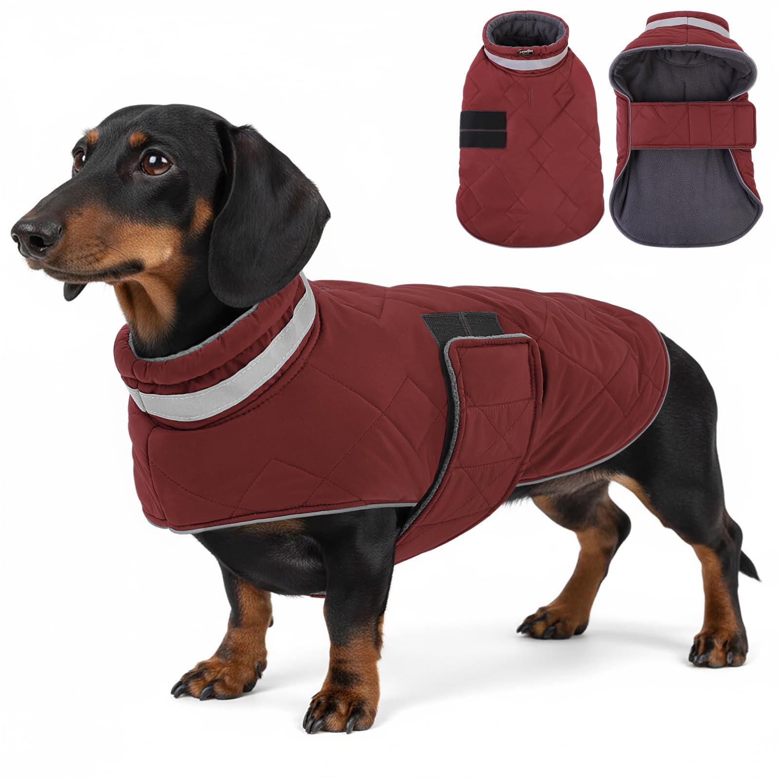 ASENKU Cappotto Impermeabile per Cane Invernale, M Cappottino per Cani di Taglia Media, Giacca Invernale Foderata in Lana Riflettente, Cappotti e giubbotti per Cani Chiusura Regolabile