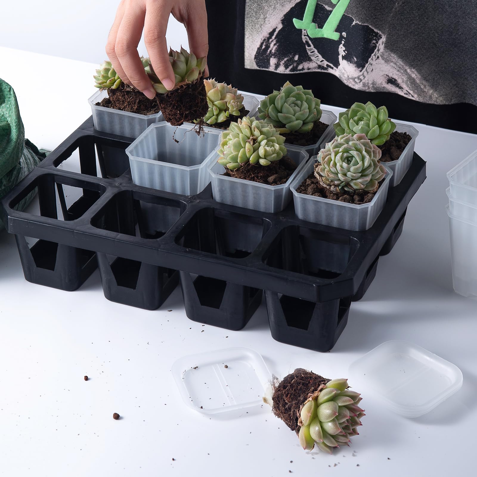 Foxany 3" Clear Nursery Pots, 30 Pcs Thick Plastic Plant Pots