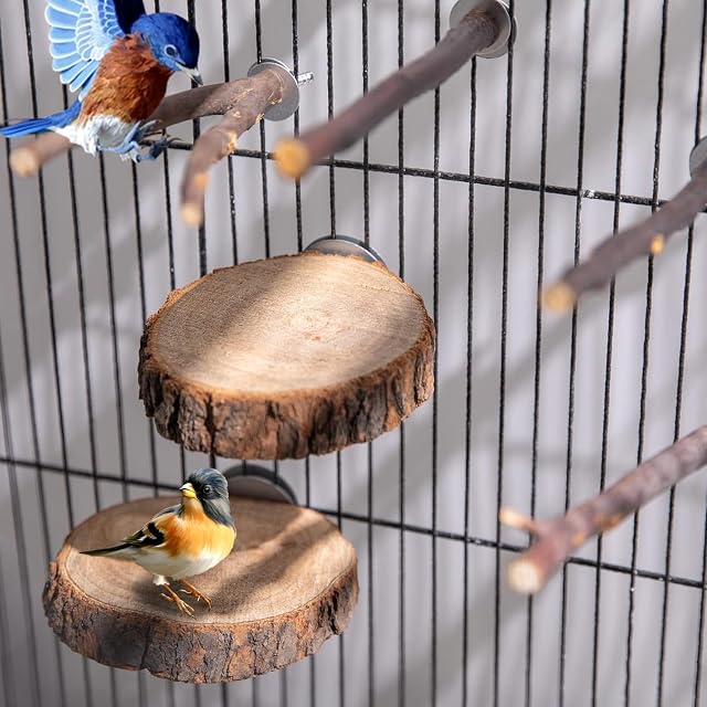 Foto 6 de 7 de LEKEFETO Juego de 9 perchas naturales para pájaros: Juguete para pájaros con varias ramas