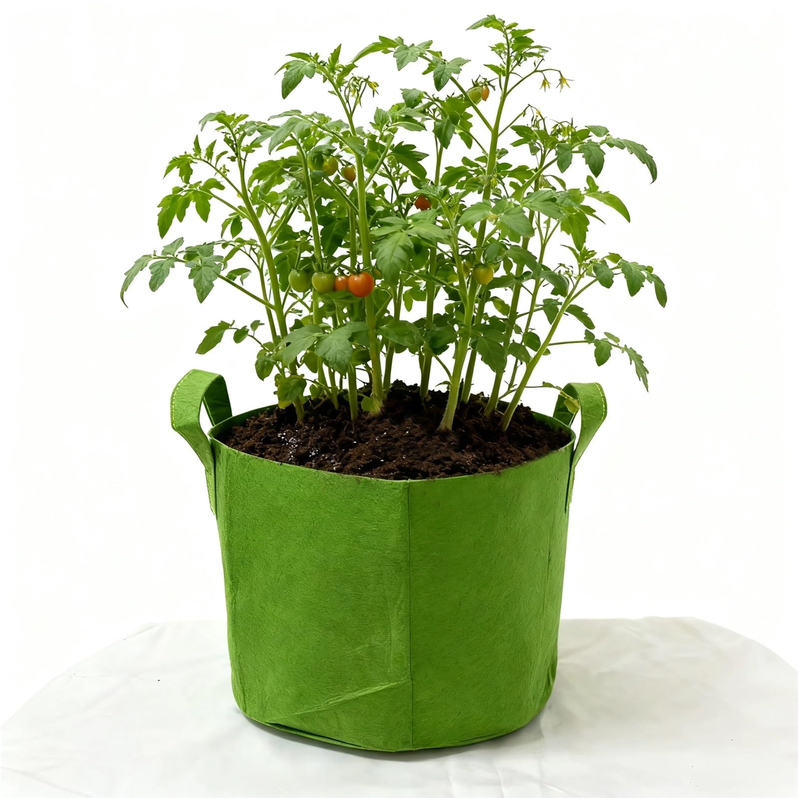 GIYXHU 10 Gallon Grow Bags For Vegetable/Flower/Plant, 5 Aeration Fabric Pots With Handles Cloth For Plants Garden Gift for Flowers Vegetables(Green,5Gallon)