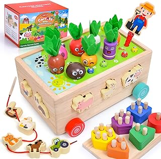 6 in 1 Montessori Toys for 1 2 3 Years, Color Shape Sorting&Stacking Toy&Carrot Harvest &Magnetic Game&Lacing Beads&Farm Animal Matching, Fine Motor Skill Wooden Educational Toys Gift for Kids Babies