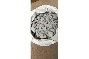 Daisy Premium Clay Target Bulk Box of 500 Clay Pigeons for Trap...