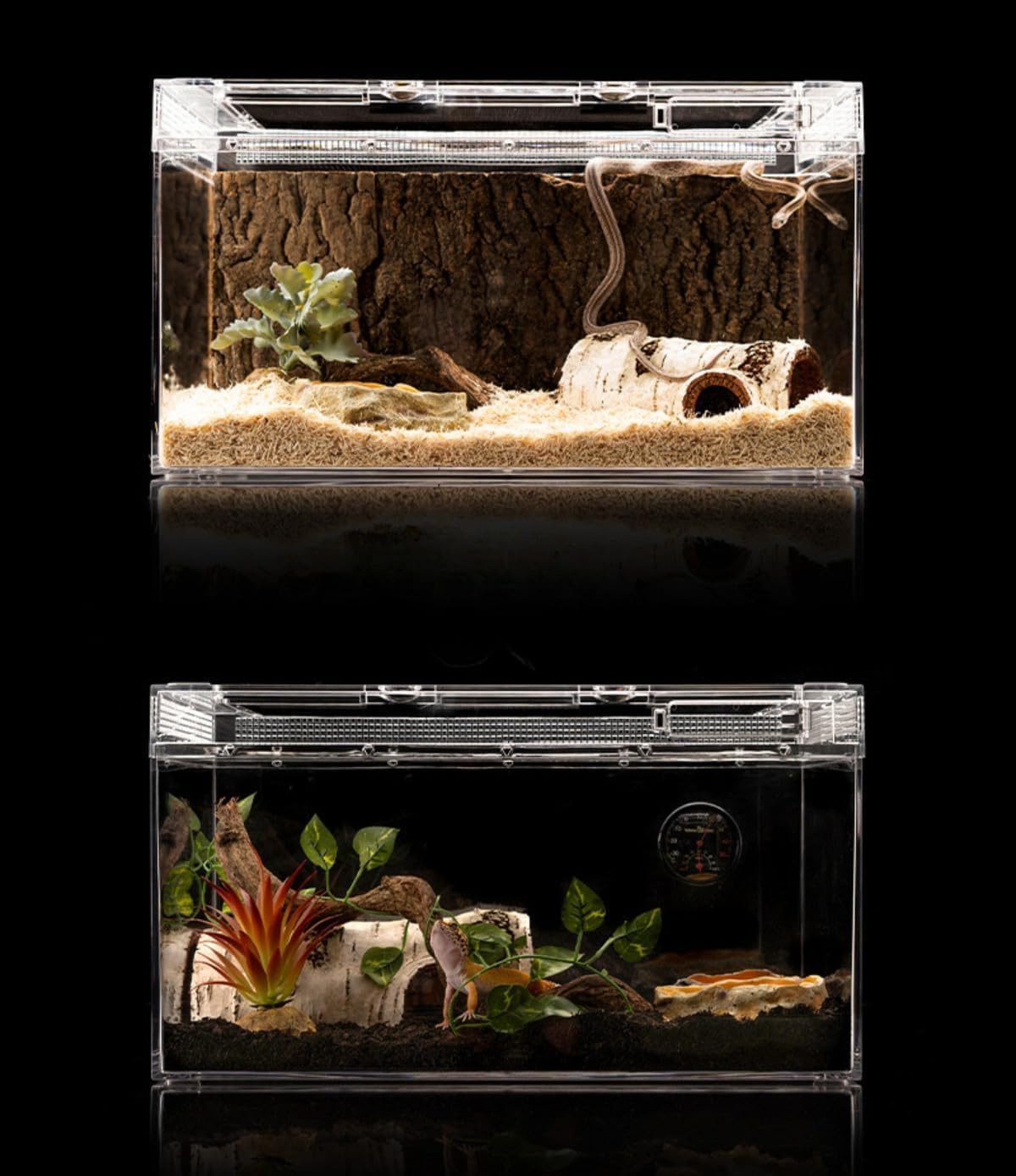 爬虫類ケージ 60×45×32 蝶番&掛金② キャップ② 爬虫類ケージ 60