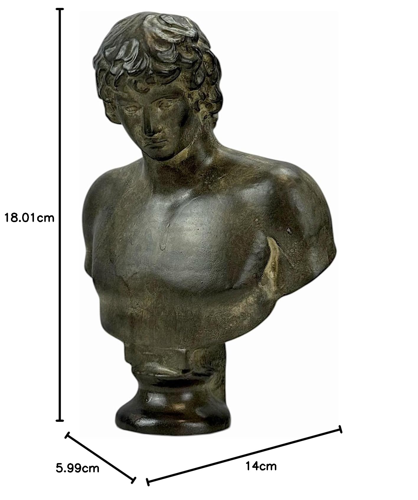 Antinous Rzeźba Popiersie - Ukochany Towarzysz cesarza Hadriana | Ręcznie wykonana grecka sztuka klasyczna | Posąg gipsowy Moldano 18 cm