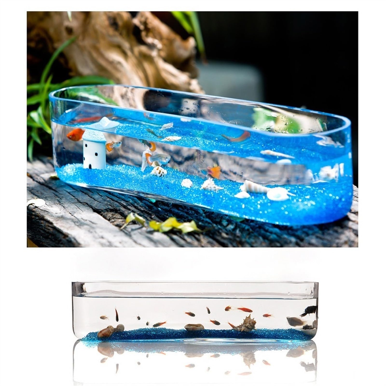 Acuario Tanque de Peces de Vidrio pequeño, Tanque de Peces Rectangular, Acuario, Tanque ecológico, Vidrio Transparente, Sala de Estar, Oficina, Escritorio, decoración de pecera Peces Acuario(Grande)