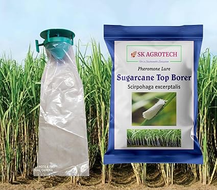 Pheromone Lure for Sugarcane Top Borer (Scirpophaga excerptalis) & Funnel PHEROMONE Trap (50)