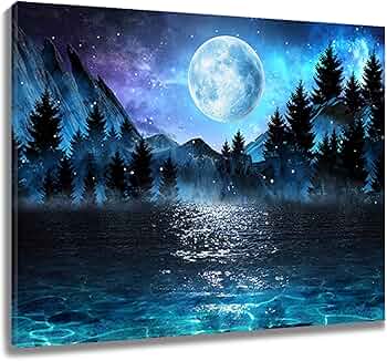 芸術写真 Nature Photograph Full Moon Art Print 芸術写真 Nature Photograph Full Moon Art Print 芸術写真 Nature