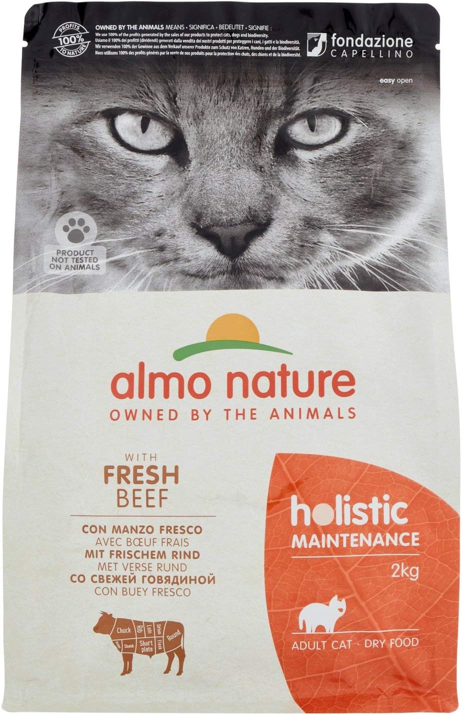 Amazon アルモネイチャー (almo nature) キャットフード ホリスティック ビーフ&ライス 2kg アルモネイチャー