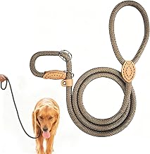 Dog Training Lead with Integrated Collar, 180 cm, Durable Nylon Sliding Lead with Safety Stopper, Adjustable Comfortable Lasso for Walking, Training, Running – Beige