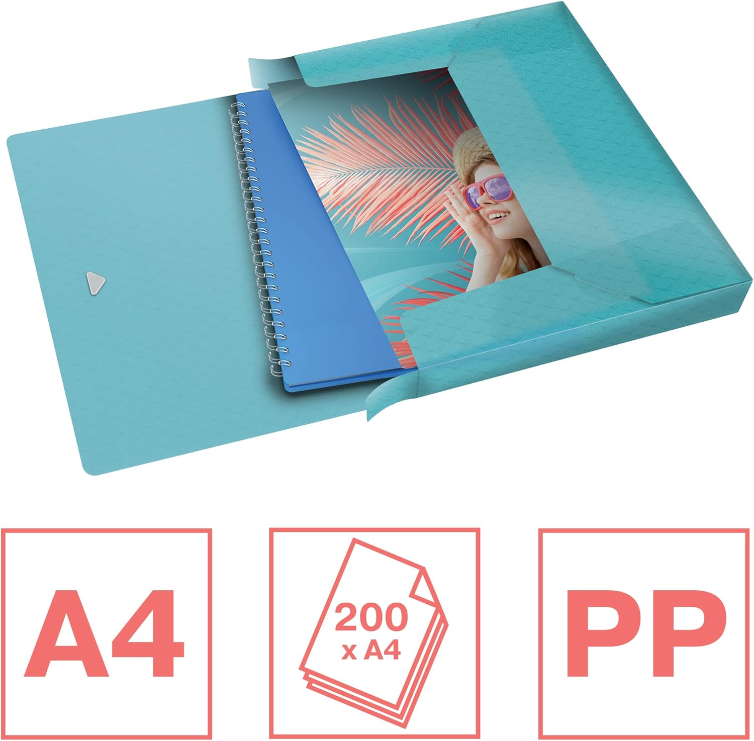 Esselte Box File 25 mm, Blue, 25mm