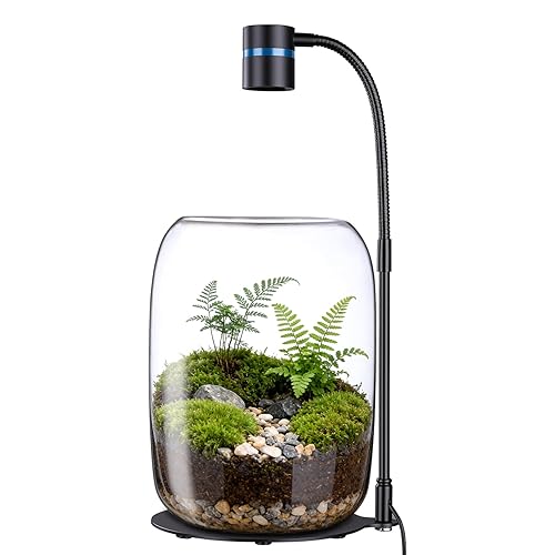 Glass Plant Terrarium with LED Grow Light(H:8.46" D:5.9"), Desktop Terrarium