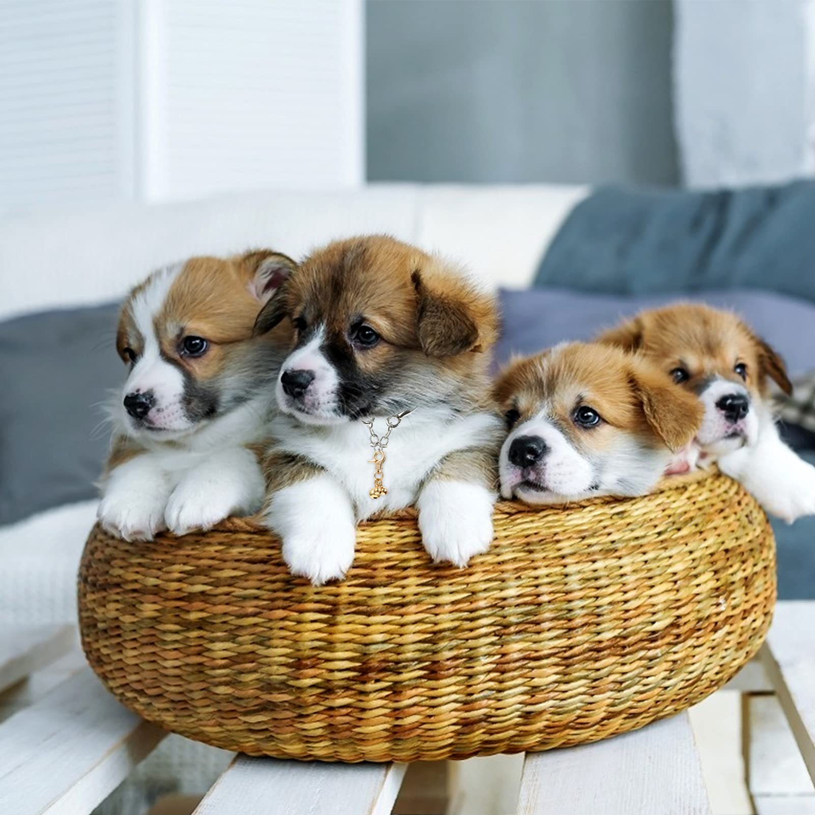 Angoily Double Bells Pet Collar Charm Cat Collar Bell Pendant for Theft Prevention