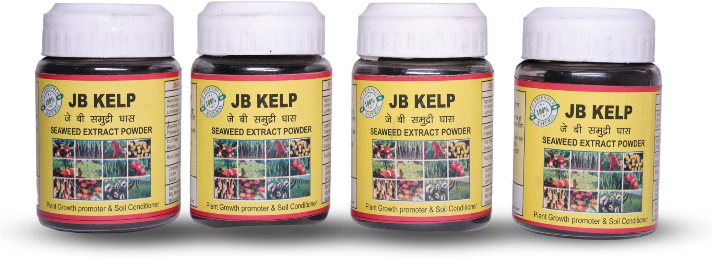 KELP JB Seaweed Extract Powder - Pack of 4
