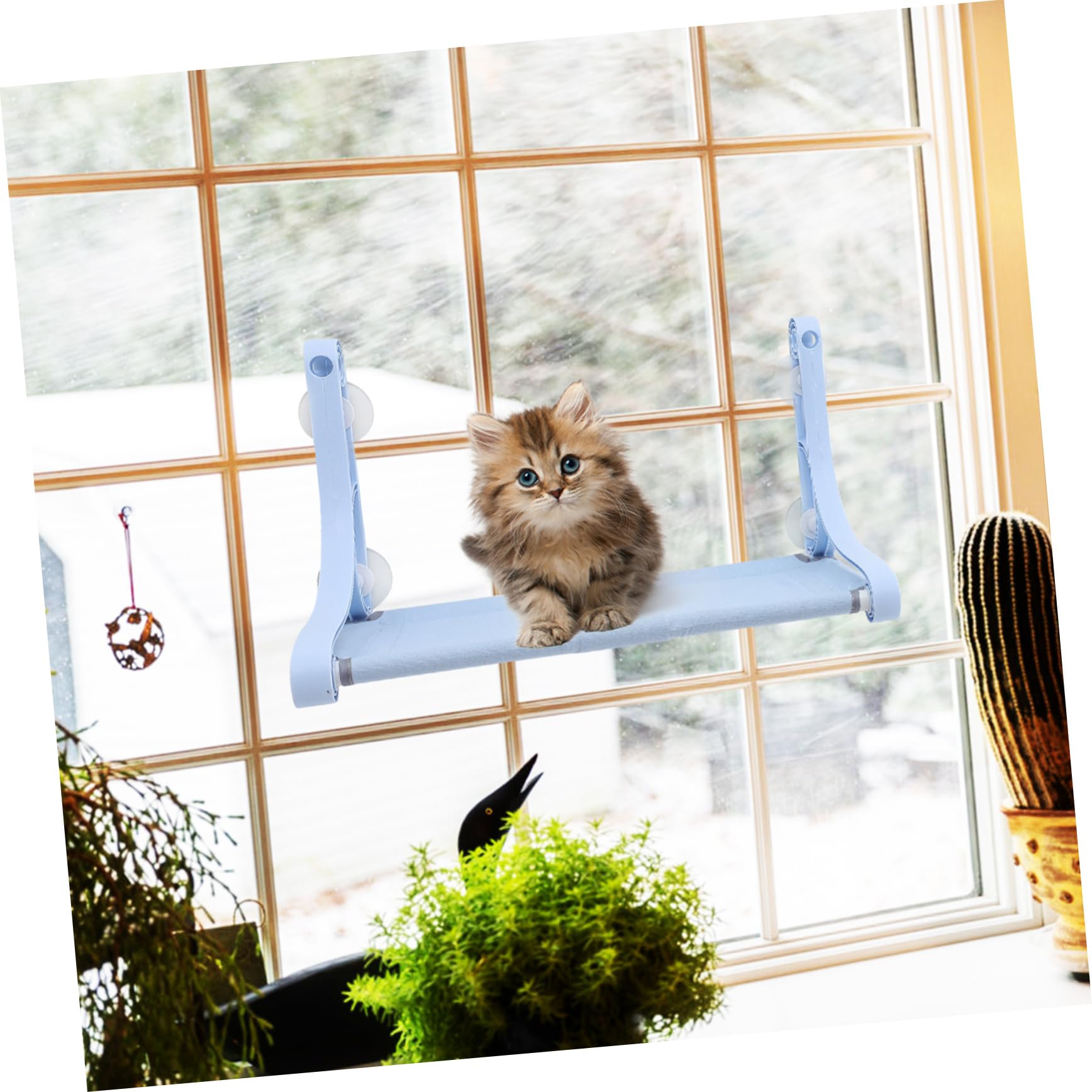 Kisangel Amaca Finestra per Gatti Blu Ventosa, Lettino Sospeso | Pp Resina e Canvas, per Piccoli Animali Domestici, Uso in Gabbia e Gioco