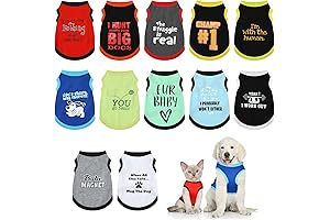 12PCS Boy Dog Clothes: Your Boy's Wardrobe for Summertime Fun and Comfort