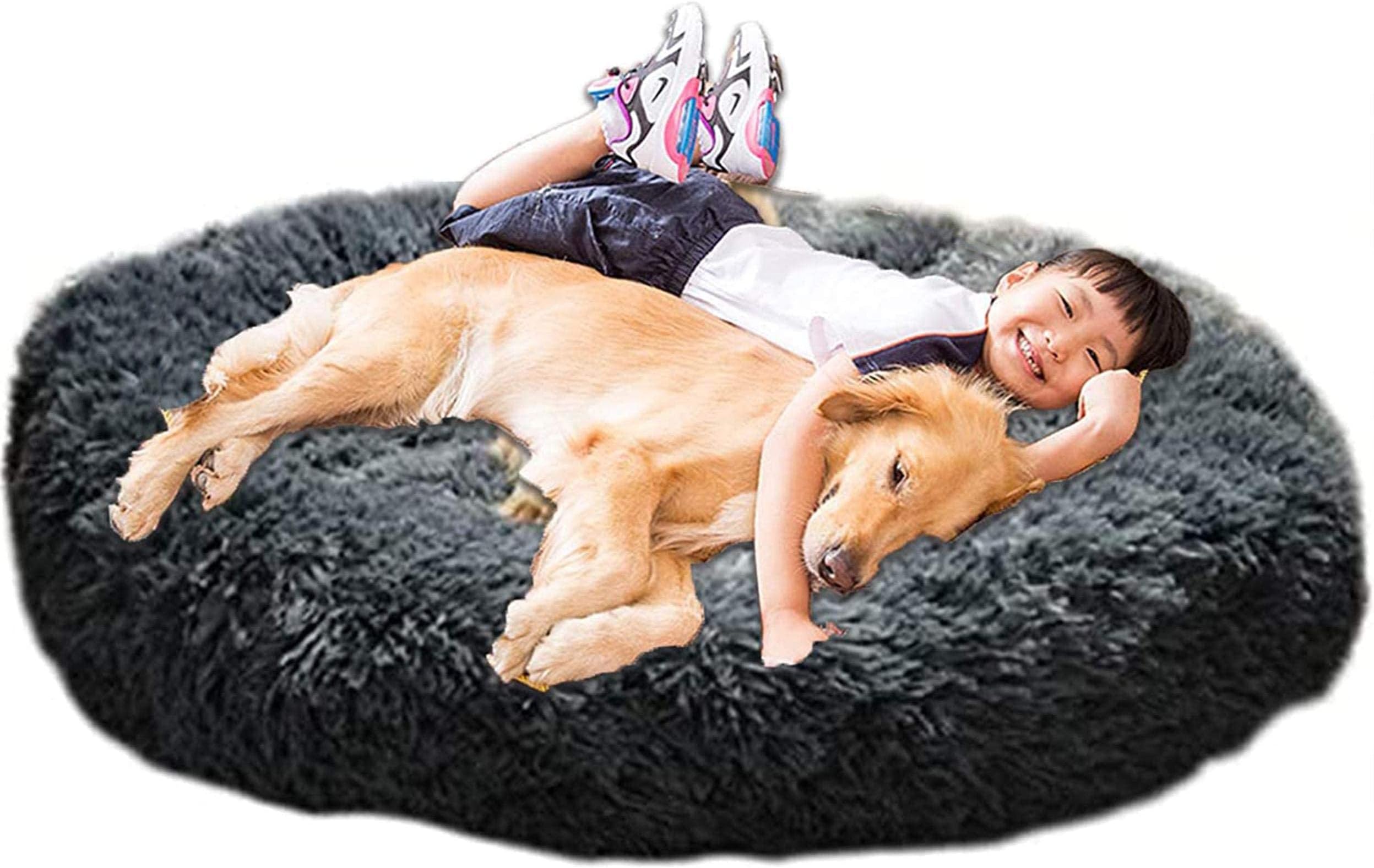 Lit Chien Pour Humain Extra Large, Matelas Pour Chien, Lit Géant Pour — free download