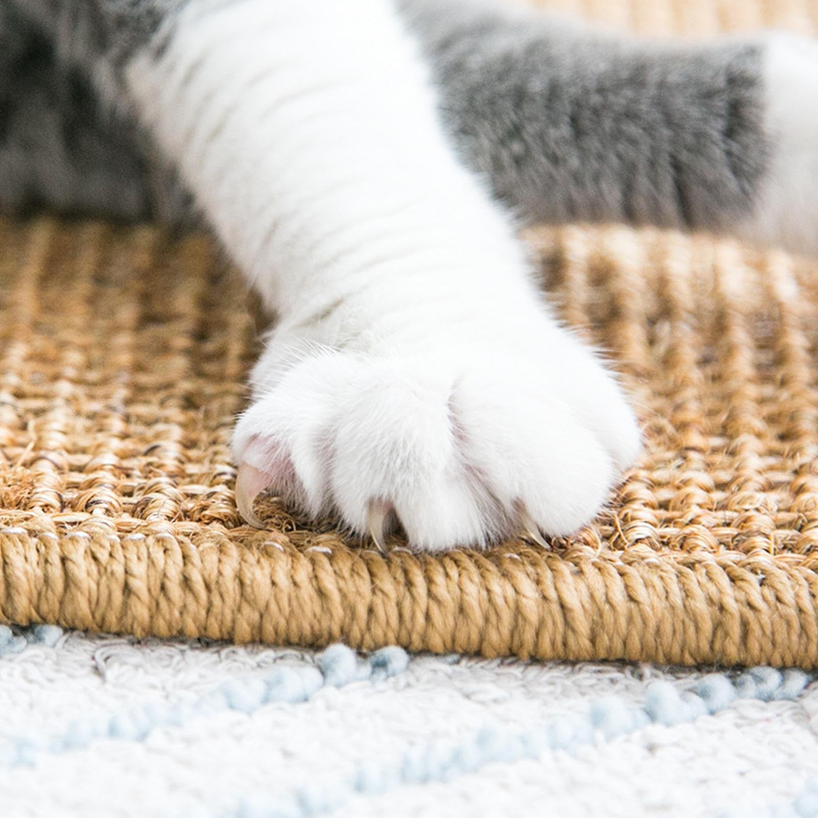 Bunny Scratching Pad Giocattolo Mordicchio per Gabbia Conigli | per Lettini, Protezione Mobili e Gabbia per Rosicchiare, e Nidificazione