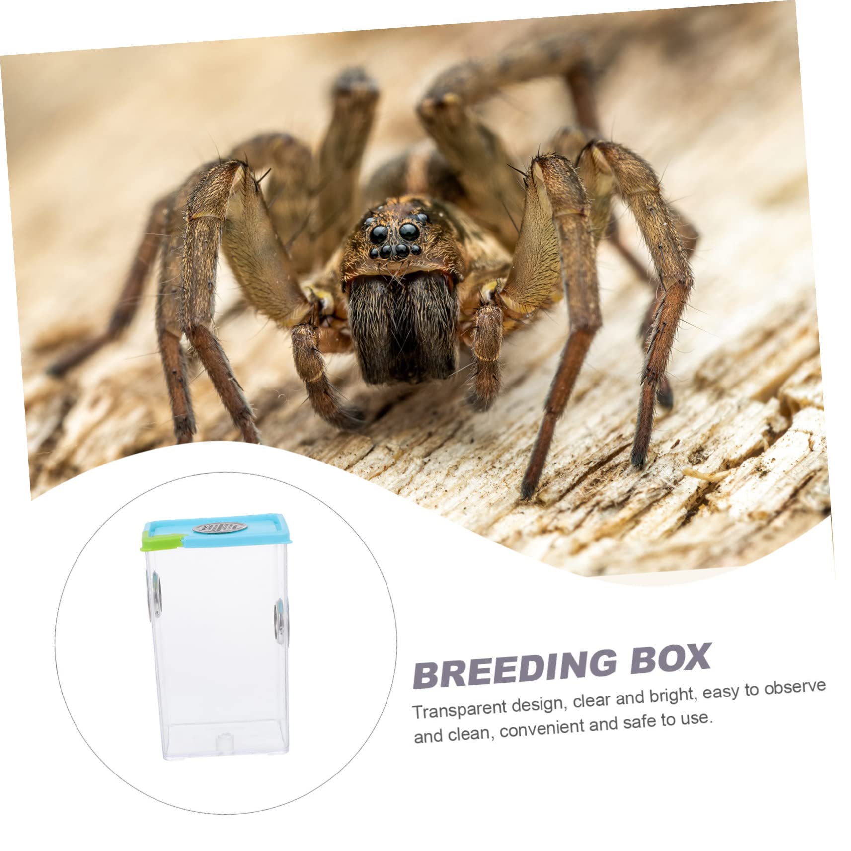 Milisten Transparent Reptile Feeding Box 6.69X4.13X3.15 Inch Lightweight Breeding Case with Ventilation for Small Lizards Spiders Frogs Corn Snakes Pet Supply - Image 3