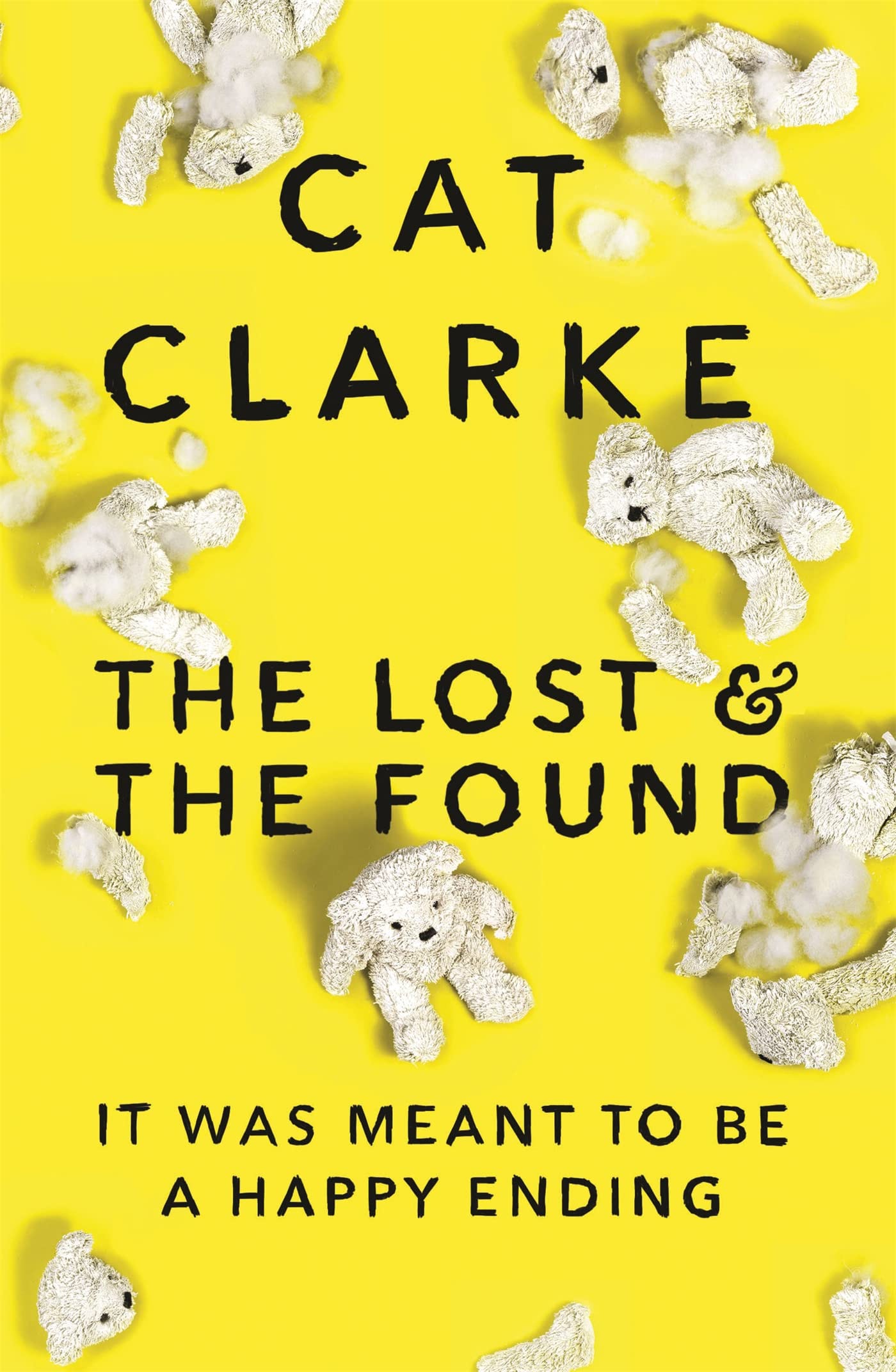 The Lost and the Found : A psychological YA thriller for fans of Holly Jackson, Laura Nowlin and Kathleen Glasgow