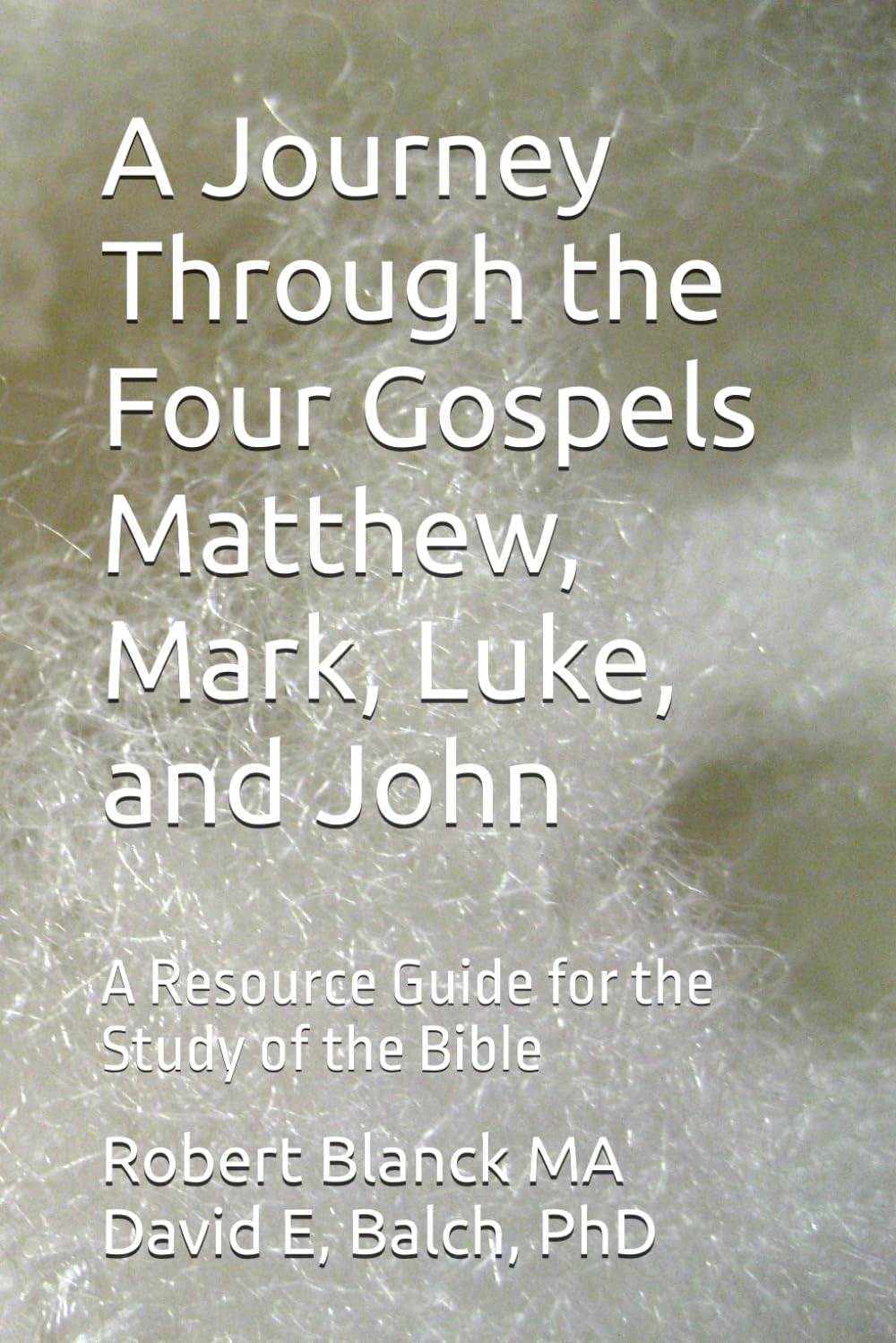 A Journey Through the Four Gospels Matthew, Mark, Luke, and John: A Resource Guide for the Study of the Bible