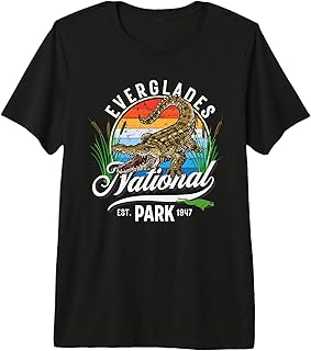 Retro Vintage Everglades National Park Tourist Gift Premium Tri-Blend T-Shirt