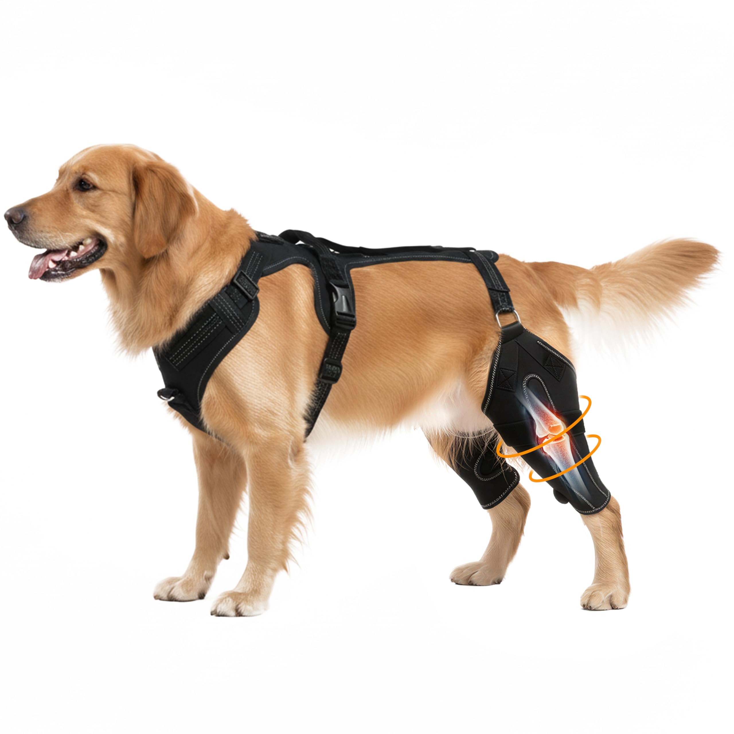 Wood Homing Dog Knee Brace for Rear Leg Support - Adjustable Canine Hinged Back Leg Support Warp with Hip Joint Care Reflective Strap Harness for ACL Arthritis Relief Patellar Luxation Injured Dog (L)