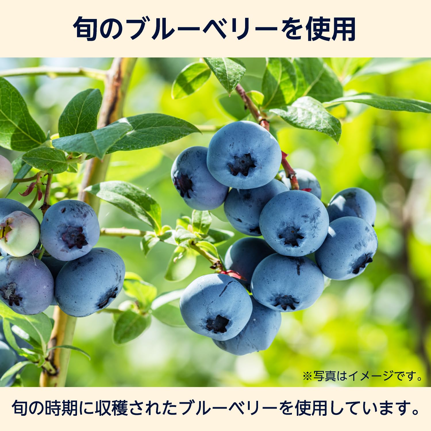Amazon | [冷凍] by Amazon ブルーベリー 2kg 大容量 カナダ産 旬の