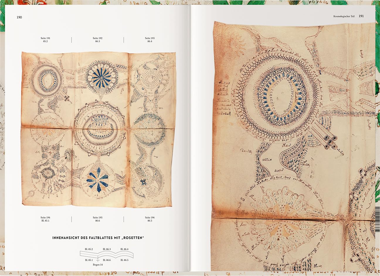 Voynich Manuscript. The complete Edition. All plates.