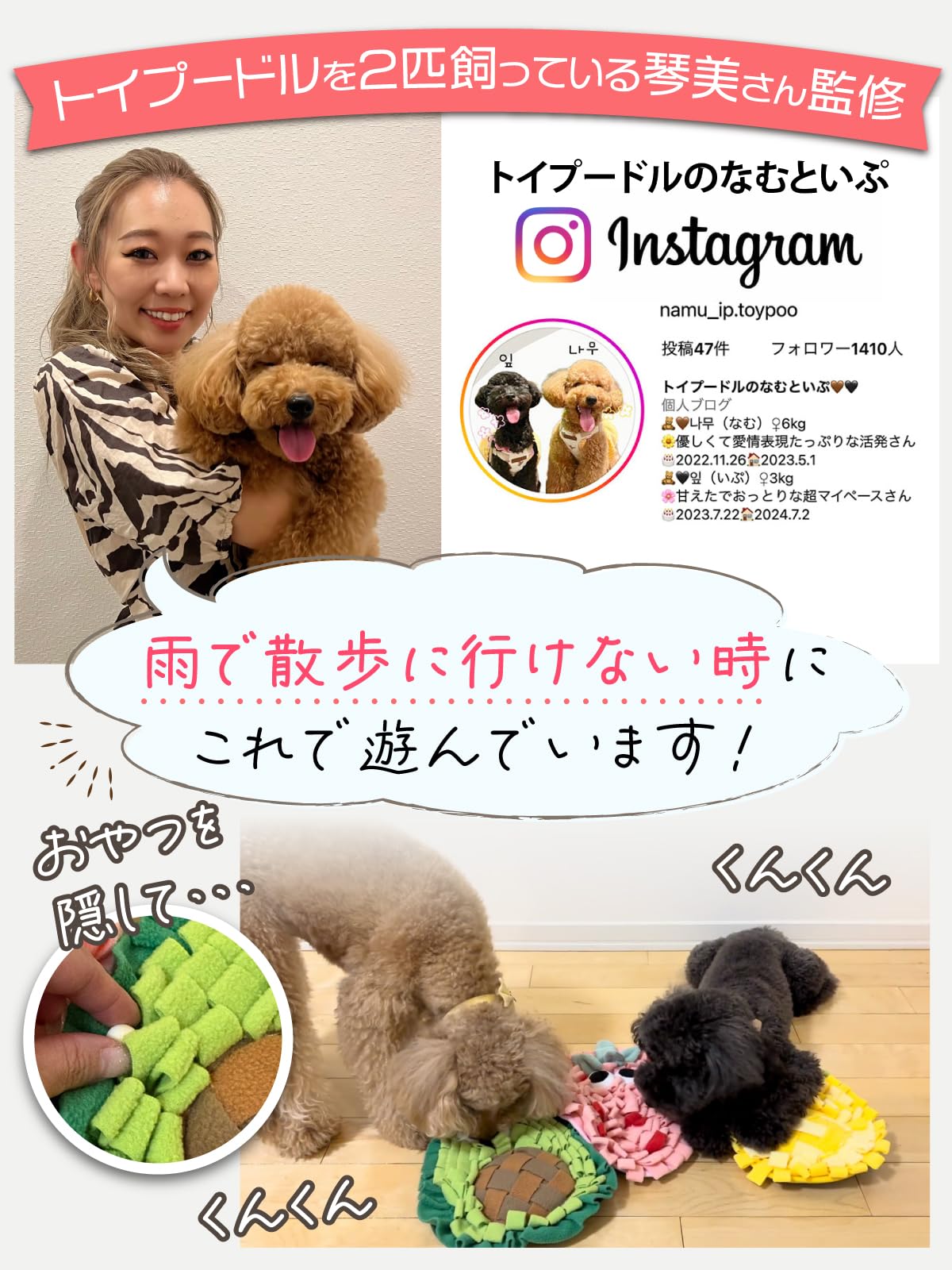 Amazon | 【獣医師×動物健康管理協会監修】 ノーズワークマット （小型