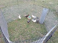 Review Image by Cherie