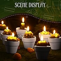 Vista 3 de 12 Piezas Velas de Suculentas Novedosas Hechas a Mano Velas de Té de Cactus Delicadas y con Estilo Velas de Plantas Mini Velas de Cactus