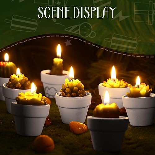 Miniatura 3 de 12 Piezas Velas de Suculentas Novedosas Hechas a Mano Velas de Té de Cactus Delicadas y con Estilo Velas de Plantas Mini Velas de Cactus para