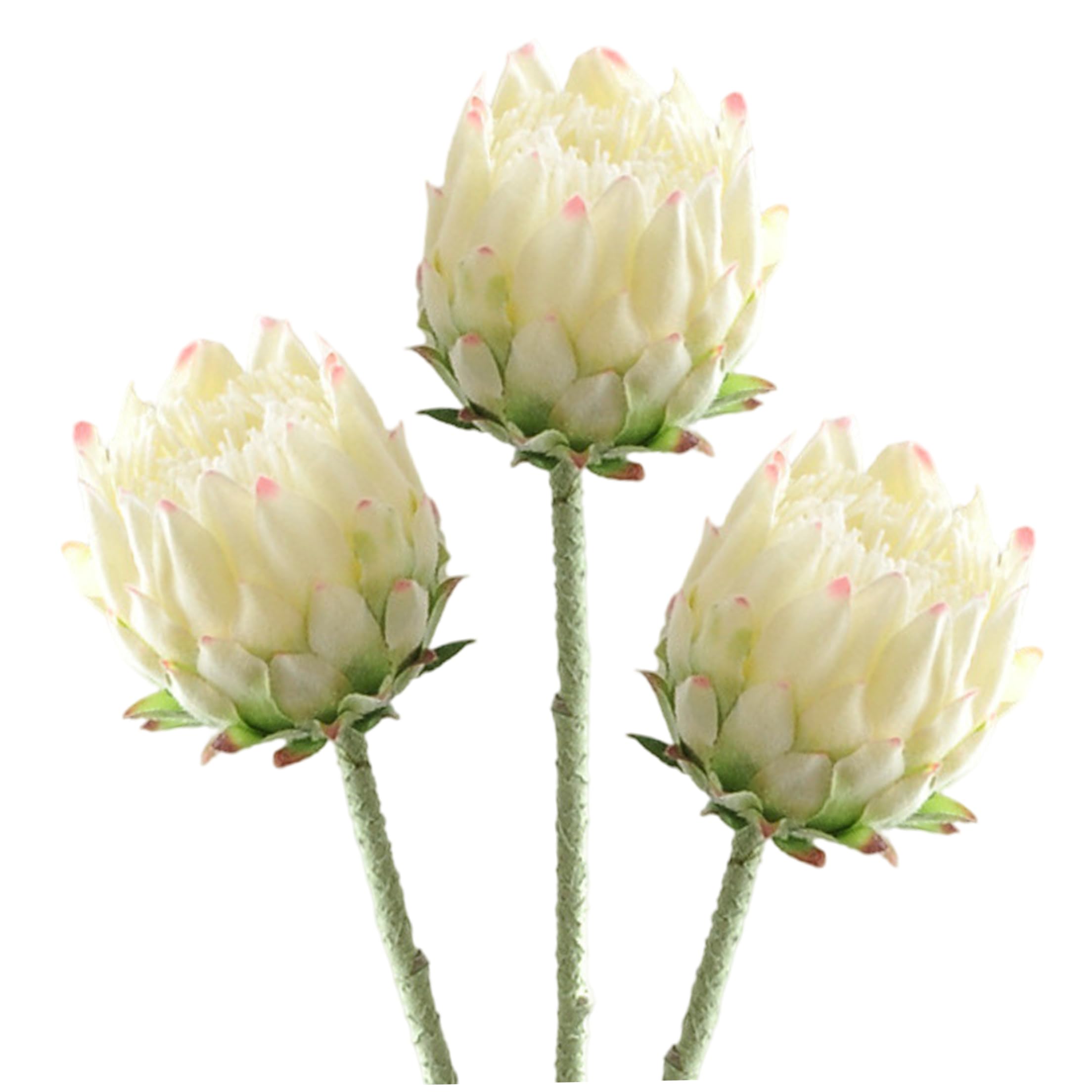 Ameble White 3Pcs 25.2 Inch Artificial Protea Flowers, Real Touch Tropical Faux Flowers For Vase & Arrangement, Lifelike Bloom, Wedding Home Hotel Decor,