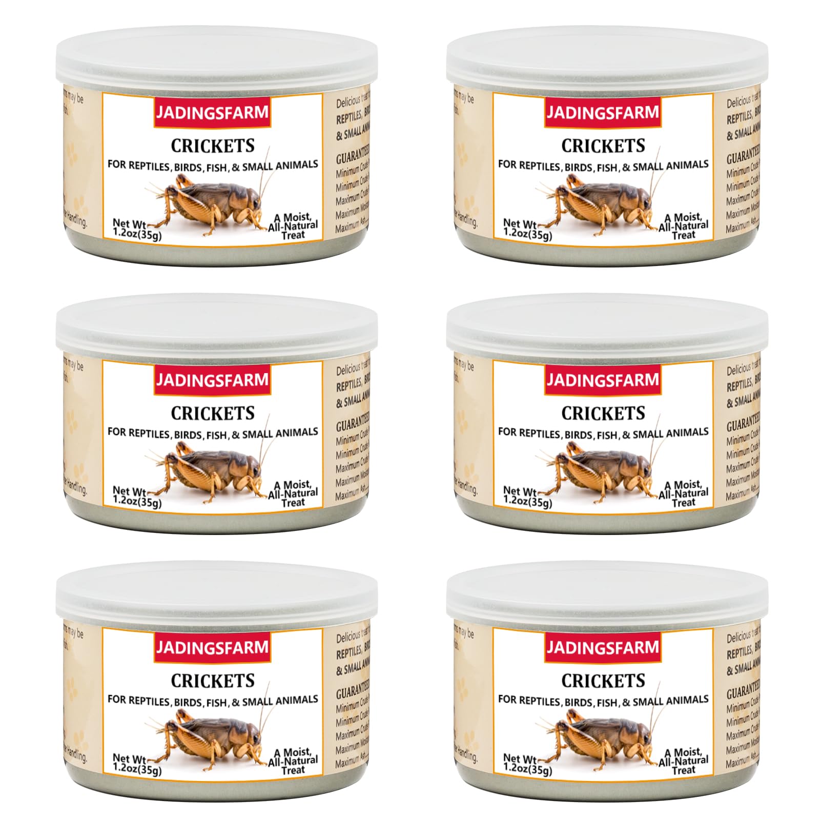 6 Pack Canned Crickets for Reptiles, Fish, Birds and Small Animals, Crickets, Healthy High Protein Treat, Reptile Bird Fish Food 1.2 Ounces Each